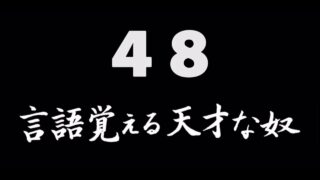 煩悩ネタ48<br>言語覚える天才な奴