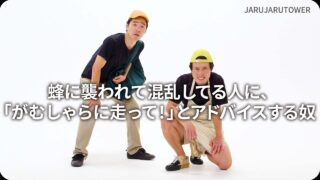 蜂に襲われて混乱してる人に、「がむしゃらに走って！」とアドバイスする奴